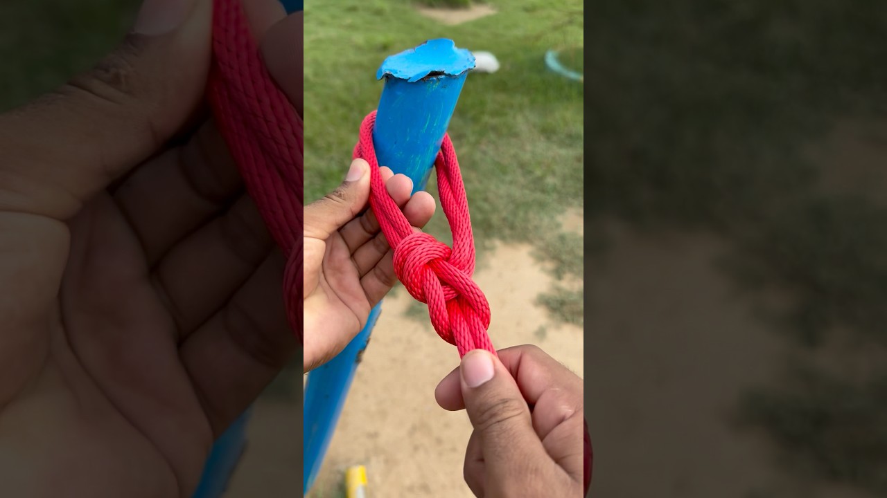 Bowline On The Bight Knot !