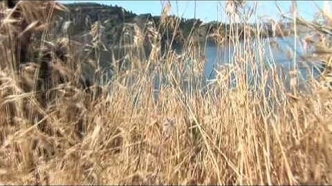 Trevor Hansen in Inception brought to you by CWB Board Co.