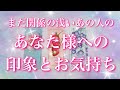 【ハッキリ出します】まだ関係が浅いあの人のあなた様への印象とお気持ち💖タロットカードでリーディングします🔮🦋