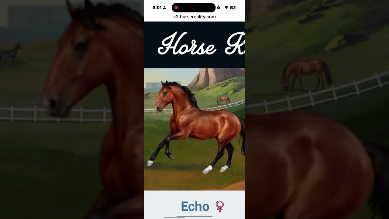 Horse reality breeding farm tour!!