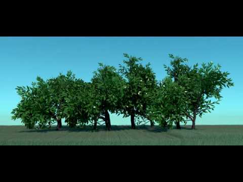 3D Natural Environment (Maya Project) - YouTube