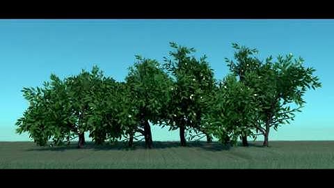 3D Natural Environment (Maya Project)