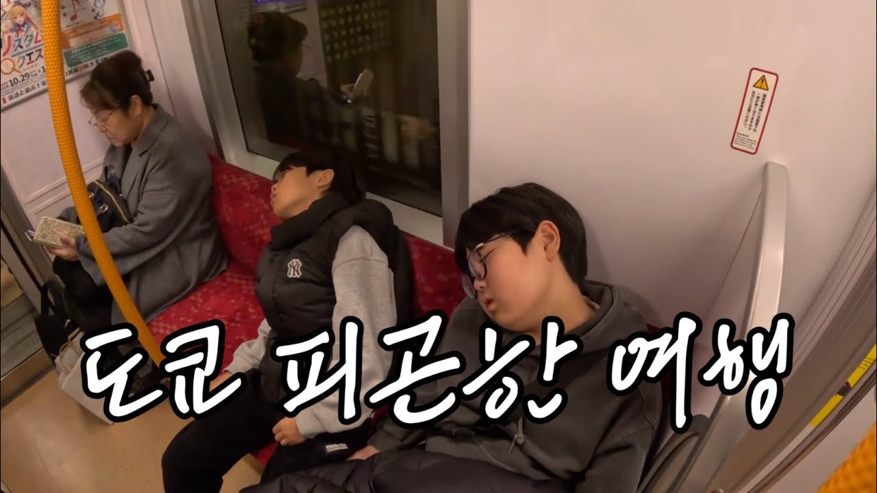 센소지에서 전통 체험, 신바시에서 포켓몬 덕질!