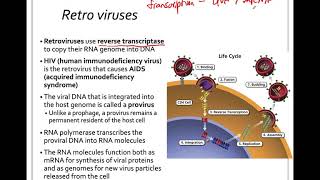 19.3 Classification and Evolution of Viruses