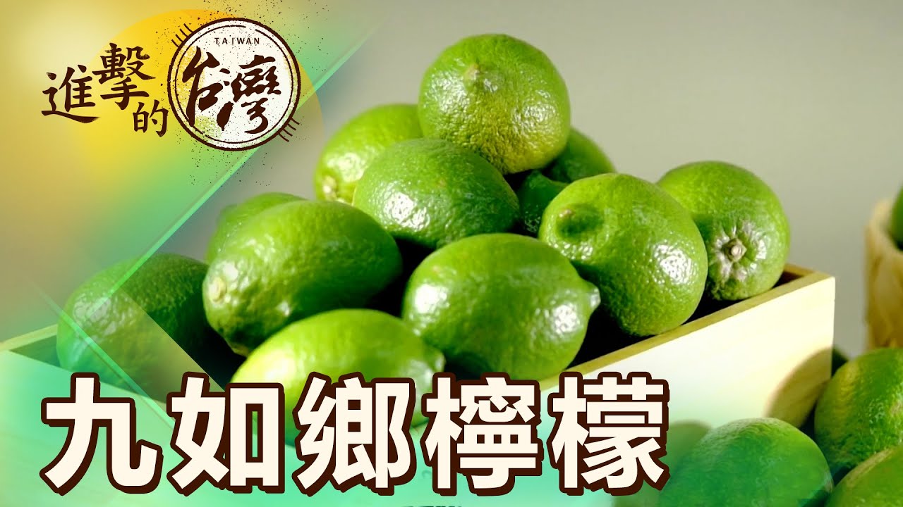 屏東九如友善栽種 檸檬之鄉打造綠金商機 第481集《進擊的台灣》part5｜陳怡廷