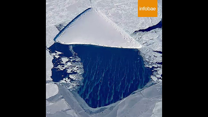 Increíble hallazgo en la Antártida