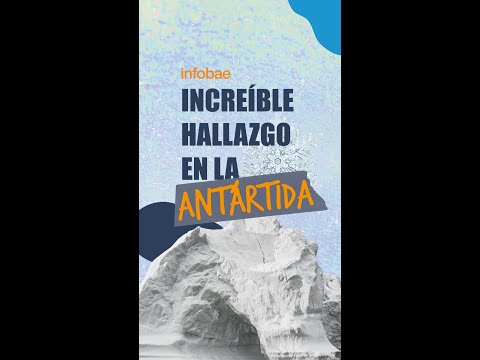 Vídeo: Mitos Comuns Sobre A Antártica