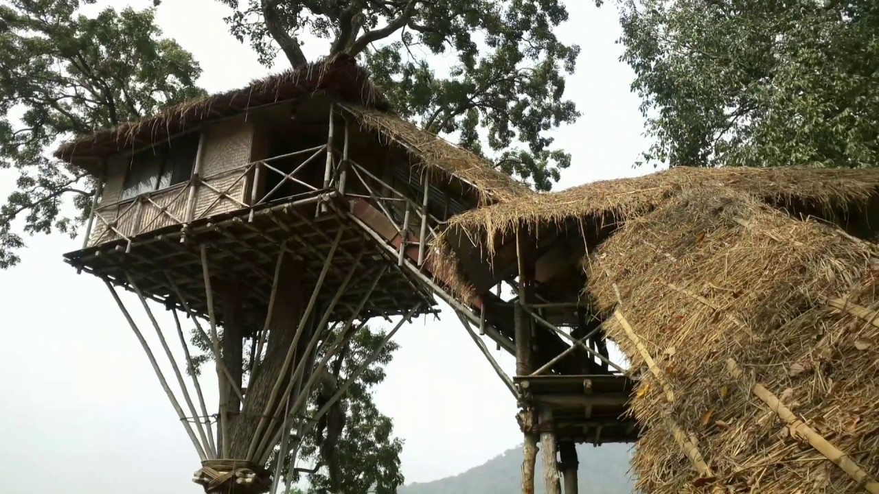 Masinagudi Tree House (Inn the wild resort) Right in the middle of the