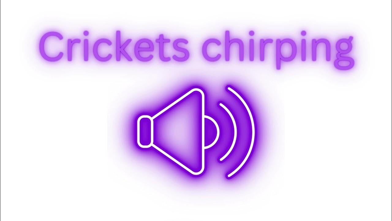 Crickets Chirping Sound Effect YouTube
