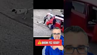 🚨QUEM FEZ ISSO!!?? #cachorro #pet #pets #petshop #cachorros #goldenretriever #pitbull #pug