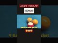 Billiard Trick Shot !!!