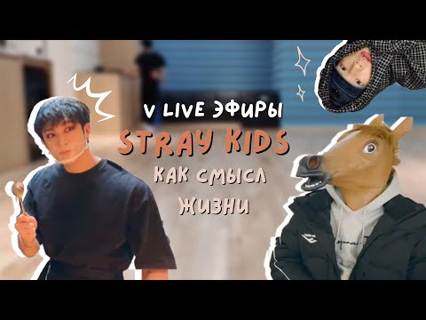 v live эфиры stray kids как смысл жизни