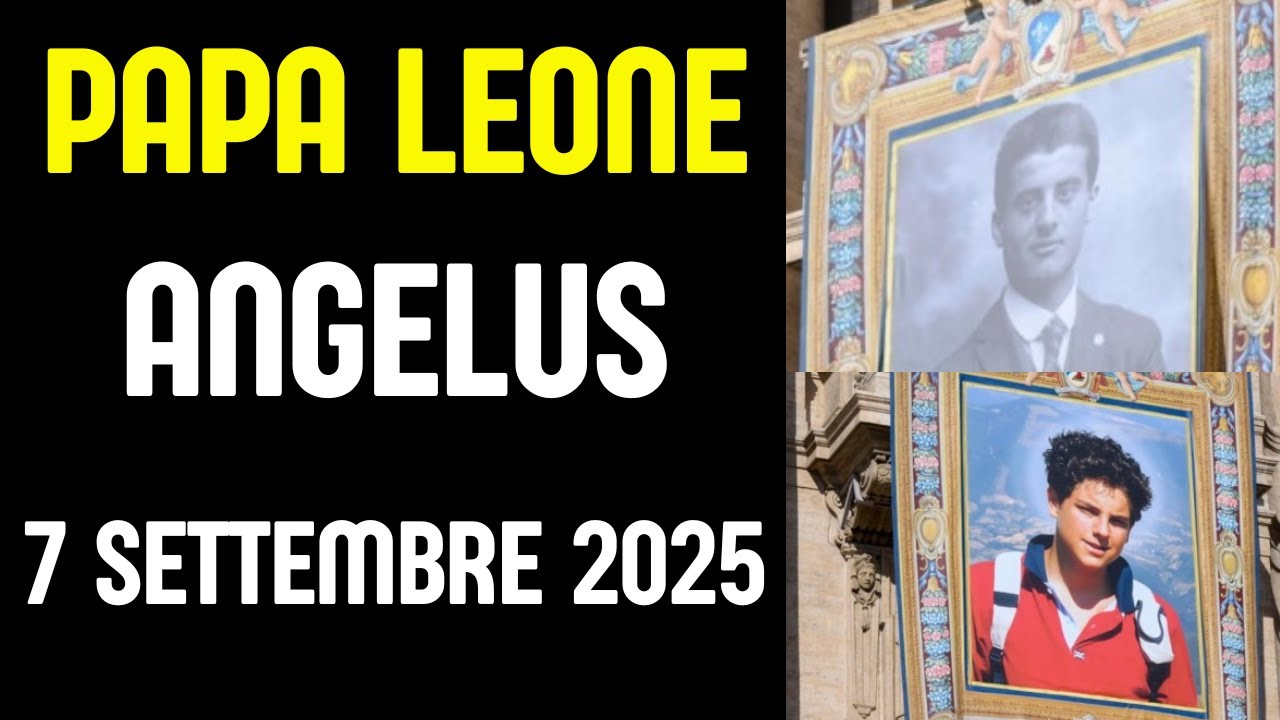 Papa Leone XIV Angelus | Pace, nuovi Santi e martiri della fede | 7 ...