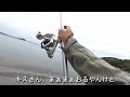 【キス釣り】キス釣りのパラダイスを探して【5月下旬】