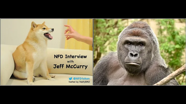 NFD Interviews: JeffMcCurry
