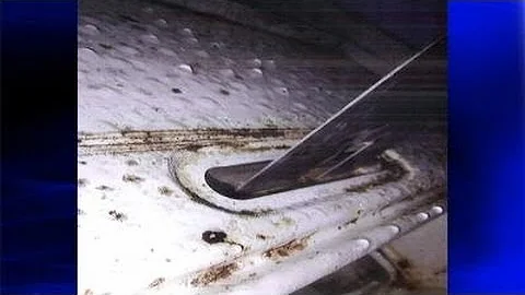 Inspectors find ice machine mold, rust and roaches in restaurants