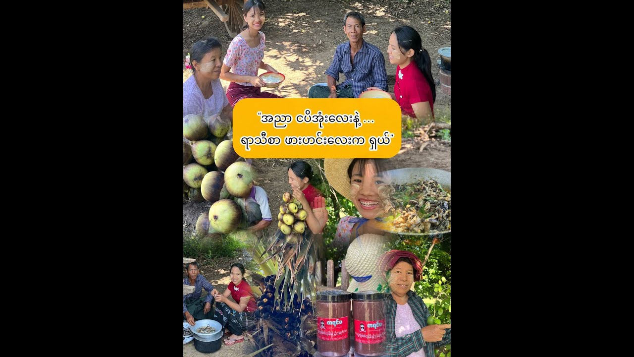 “အညာငပိအုံး နဲ့ ရာသီစာ ဖားဟင်းလေးကရှယ်..”