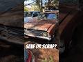 Will this Ford Cortina ever run again? #fordcortina #fordfalcon #ford #automobile