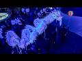 Luminous Dragon Dance - 马来西亚耶耶亚哇洪仙大地庙舞龙队 - 2026天富宫白龍王国際龍狮公开赛 - 第六屆 夜光龍