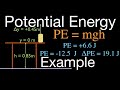 Gravitational Potential Energy Quiz