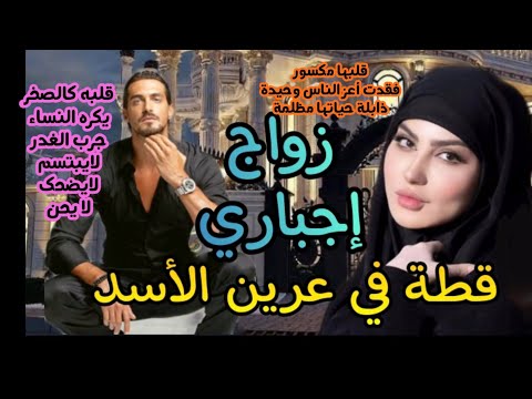 زواج إجباري قطة في عرين الأسد لايعرفها و لا تعرفه تزوجا بقرار من القبيلة لدرء الثأر