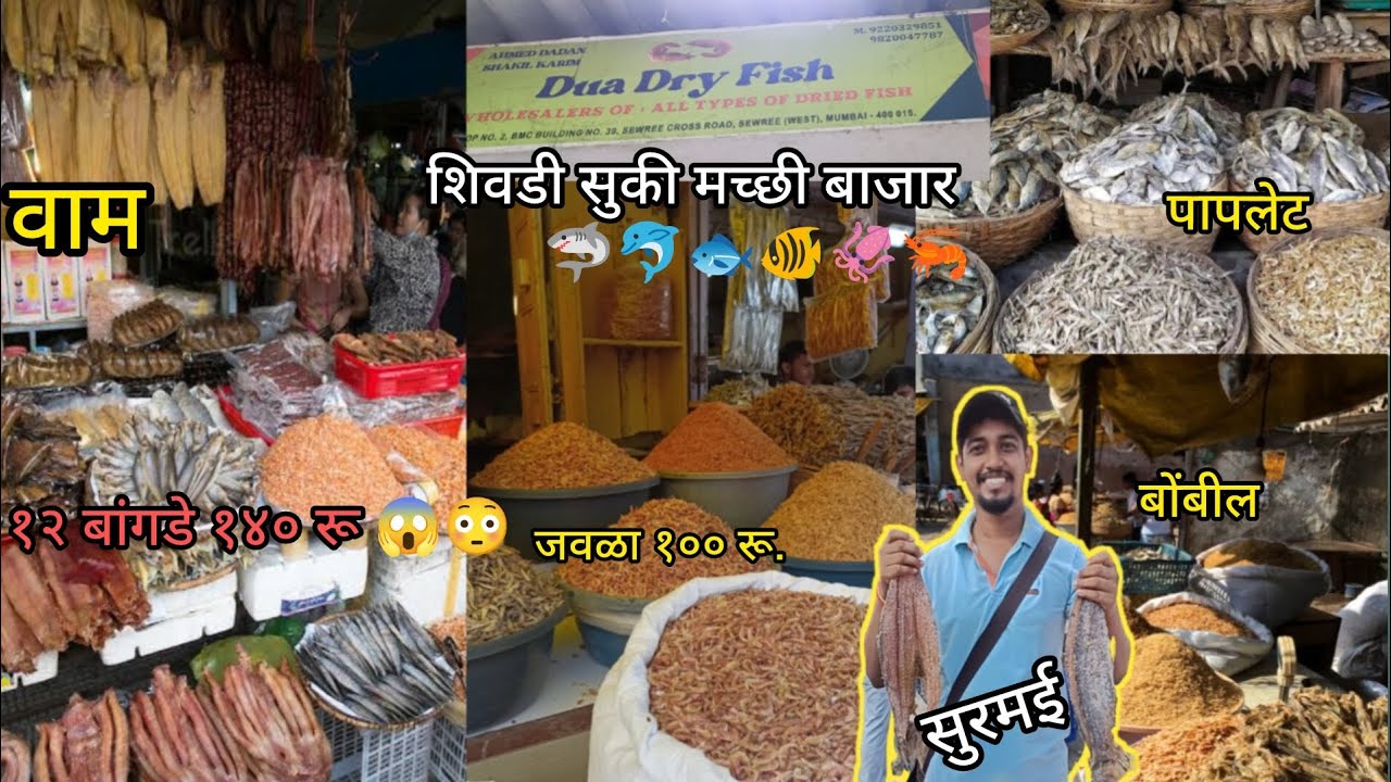 शिवडी सुकी🐟🦐 मच्छी बाजार१२ बांगडे १४०रू.फक्त 😱😳Sewri Dry Fish Market