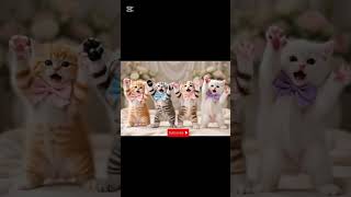 Funny AI Cats Dancing 😂AI Cats Dance Battle!