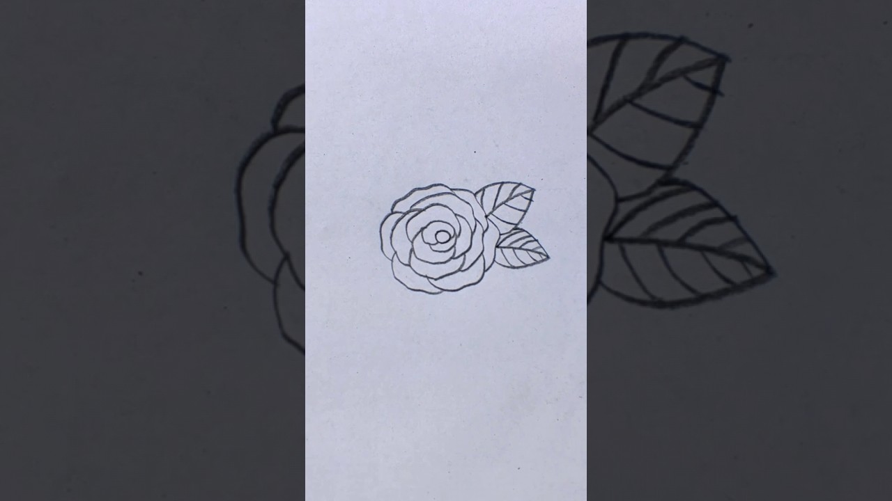 How to draw simple rose || Easy drawing || 