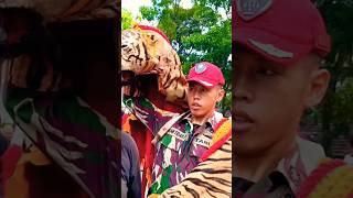 Download Lagu Gagahnya Macan Tidar Akmil akademi militer # MP3