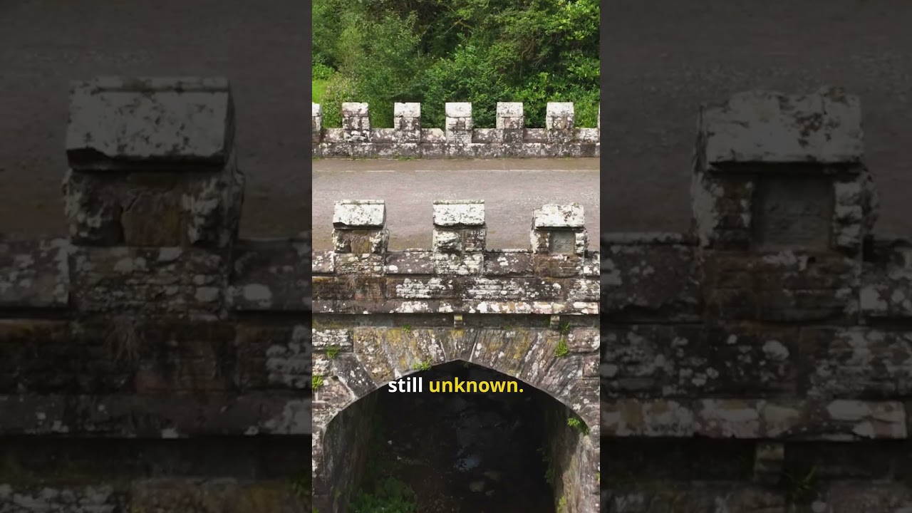 The Bridge That Leads Nowhere… But Still Stands