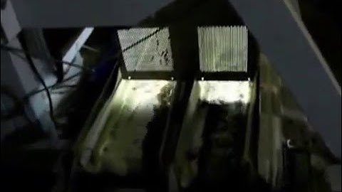 Orange Color Sorter Youtube