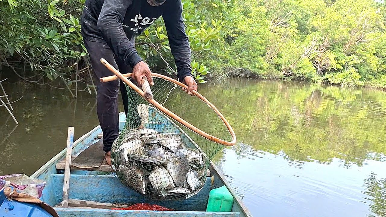 BERKAH RAMADHAN BANYAK SEKALI IKAN MENABRAK JARING