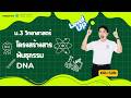 ม.3 วิทยาศาสตร์ [Level Up] EP 2 โครงสร้างสารพันธุกรรม|DNA