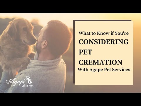 Pet Cremation: Process & Considerations