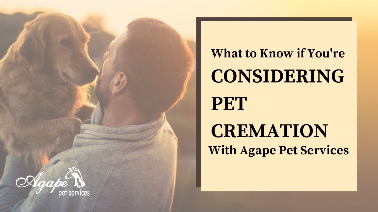 how do they cremate dogs