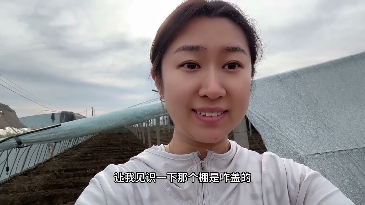 早晨五点跟着婆婆去大棚除膜，我发现虽然这活儿不难，但是不断重复对腰是真不好，公婆真的很辛苦。见识到了大棚盖膜是什么样子的，邻居朋友们互相帮忙，人多力量大，困难的事情也变得容易了许多。#记录真实生活
