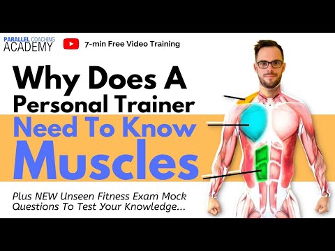 Why Does A Personal Trainer Need To Know Muscles?