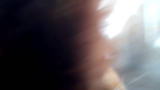 Бенгальский котёнок 7 месяцев. Вес 4,4 кг. Много мурлыкает Бенгальский котёнок 7 месяцев. Вес 4,4 кг. Много мурлыкает