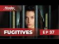 Fugitives | Episode - 37| (English Dubbed) Mexican Novela Series