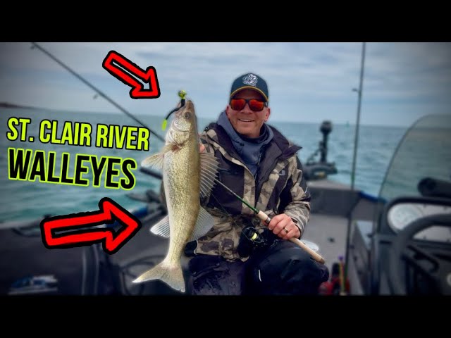 best poles for jig fishing walleyes in stclair river St. Clair River Walleye Jigging with BONDY WORMS!!