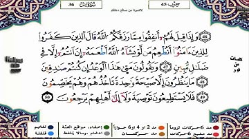 سورة يس برواية ورش القارئ ياسين الجزائري sourate ya-sin, récitation du lecteur Yassin Al Jazairi