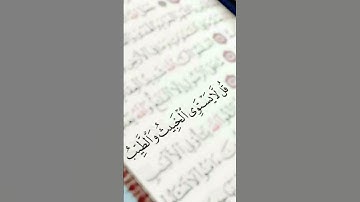 اكتب شي تؤجر عليه ❤️ #تلاوة_خاشعة #اكسبلور #المصحف #قران_كريم #راحة_نفسية