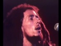 Bob marley one love peace concert nattydread