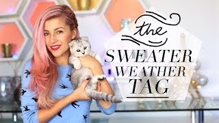 Sweater Weather TAG & Kittens