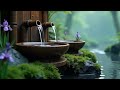 Healing Music from Water Sounds Bamboo Water Fountain Relaxing Music for Sleeping in The Night