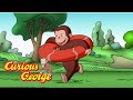 Little Fish, Littler Pond 🐵Curious George 🐵Kids Cartoon 🐵Kids Movies 🐵Videos for Kids