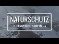 NATURSCHUTZ IN TANGSTEDT - Menschen schenken ihre Freizeit der Natur