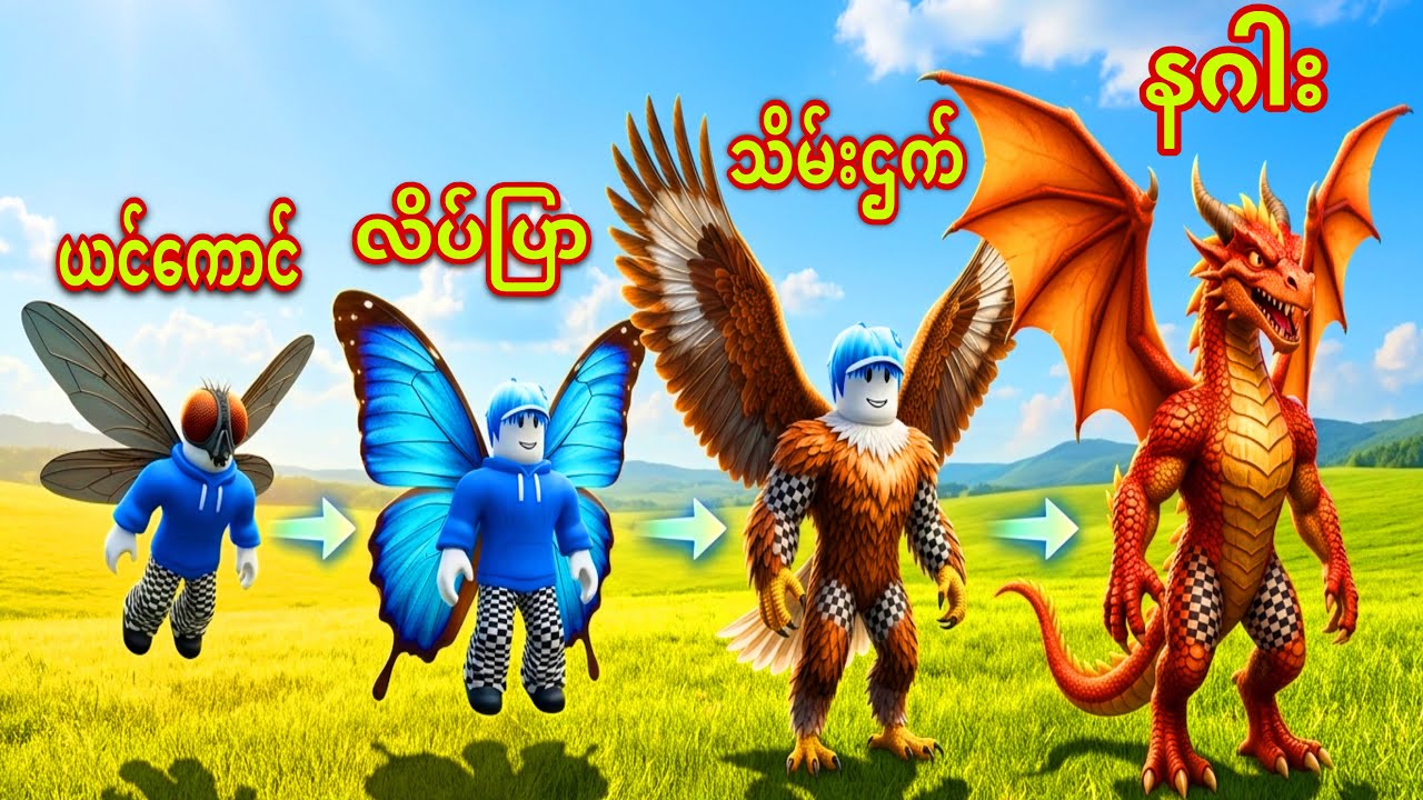 ကျနော် ယင်ကော​င်​လေးက​နေ​ နဂါးကြီးဖြစ်အောင်ဆင့်ကဲပြောင်းလဲခဲ့တယ်/Roblox Fly Fly