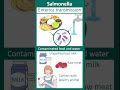 Salmonella enterica | Salmonellosis | enteric fever | microbio in 1 minute