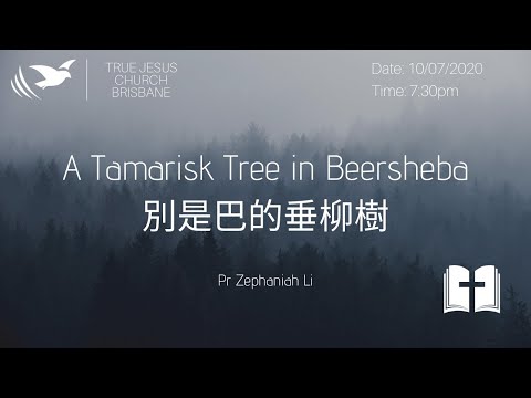 Video: Er Tamarisk en eviggrønn?